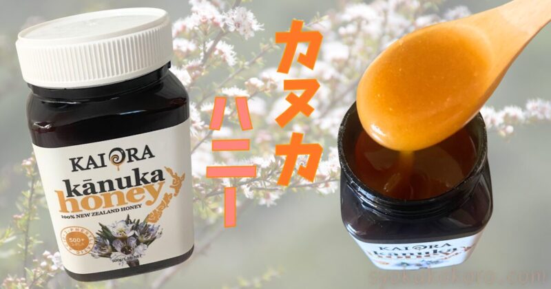 カヌカハニー蜂蜜レビュー