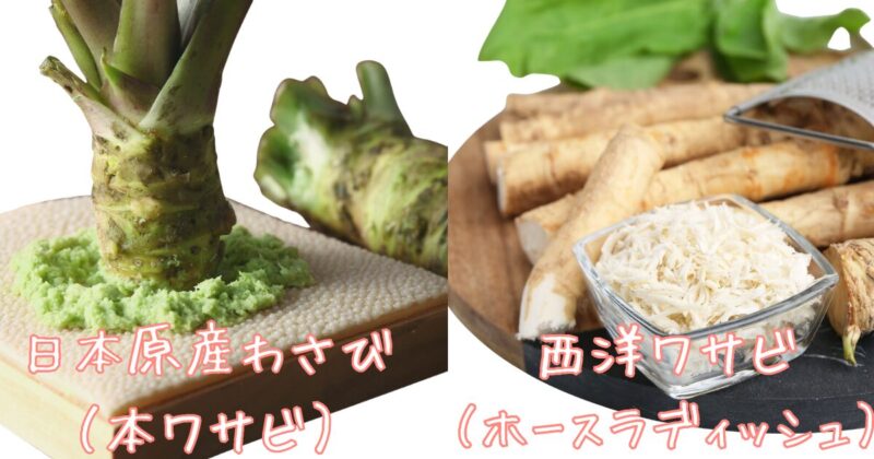 わさびの種類